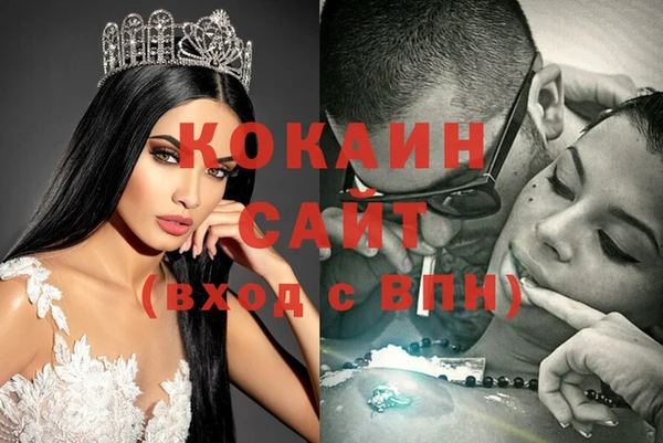 твердый Дмитровск
