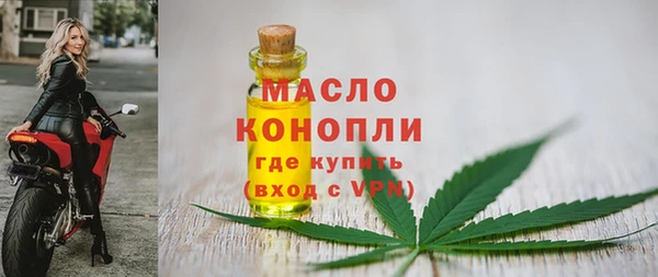 хмурый Дмитриев