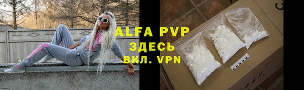 хмурый Дмитриев