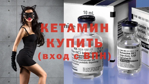 твердый Дмитровск