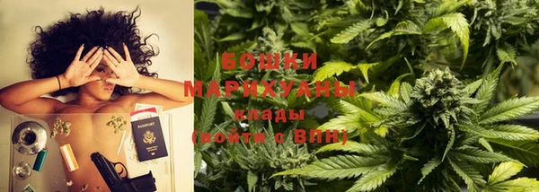 твердый Дмитровск