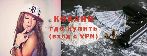 хмурый Дмитриев
