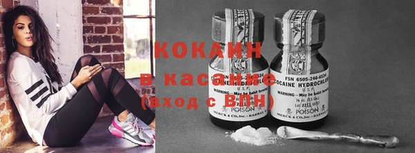 индика Туринск